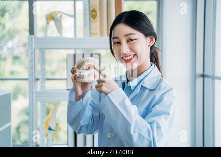 Portrait von glücklich und erfolgreich asiatischen Zahnarzt hält falsch Zähne beim Erklären jeder Zähne während Online-Klasse für Bildung Zur Zahnmedizin Stockfoto