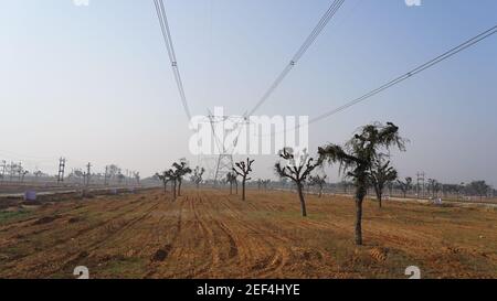 10. Februar 2021- Sikar, Jaipur, Indien. Morgenzeit erschossen, verlassen und kargen Feld Nahaufnahme. Aride Felder mit einigen Bäumen und Stromleitungen. Stockfoto