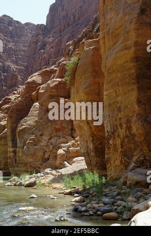 Malerische Klippen des Wadi Mujib Creek in Jordanien Stockfoto