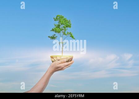 Das Konzept „die Erde retten“. Menschliche Hand hält Globe mit einem Baum über blauem Himmel Hintergrund. Elemente dieses Bildes, die von der NASA eingerichtet wurden Stockfoto