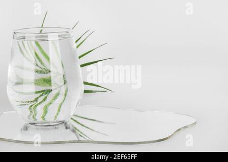 Palmblatt verzerrt durch Wasser in Glas mit Spiegel auf weißem Hintergrund. Reines Wasser, entspannen, surreal, umweltfreundliche Home-Konzept. Kopieren Raum. Stockfoto