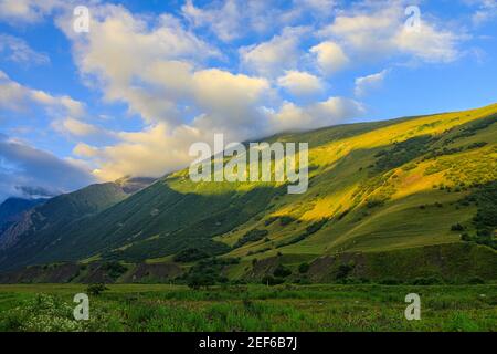 Hohe Berge des Kaukasus mit schöner Aussicht. Grüne Vegetation und dichter Wald über einem blauen Himmel. Eine tolle faszinierende Landschaft. Stockfoto