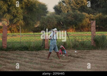 Ein junger indischer Bauer geht mit einer Schaufel auf der Schulter ins Feld, Indien-Asien Stockfoto