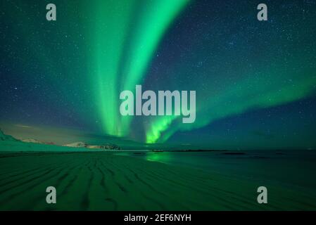 Winter Nordlichter in Skagsanden Beach (Lofoten, Norwegen) ESP: Auroras Boreals invernales en la playa de Skagsanden Beach (Lofoten, Noruega) Stockfoto