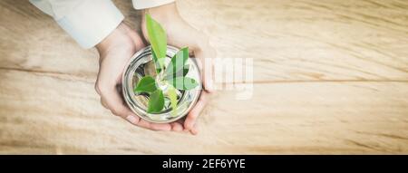 Junge Pflanze, die aus Geld (Münzen) im Glasgefäß wächst Von Frauenhänden gehalten - horizontales Webbanner mit Kopie Platz Stockfoto