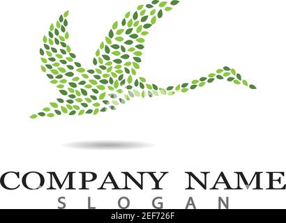 Swan Logo Vorlage Vektor Symbol Illustration Design Stock Vektor