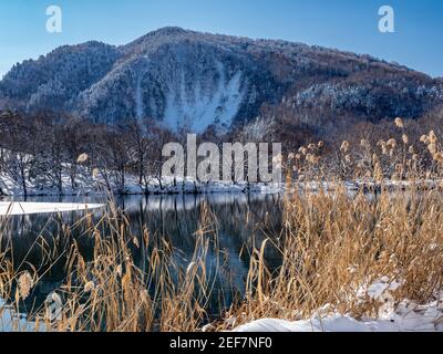 Maruike im Skigebiet Shiga Kogen, Präfektur Nagano, Japan Stockfoto