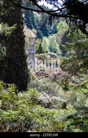 Cragside Haus und Felsen Rothbury Lord Armstrong aus dem Pinetum Wald alte, berühmte Bäume Holz Wälder Hügel Wälder Hügel Wälder Hügel Haus auf Hügeln Stockfoto