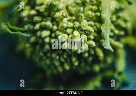 Traditionelles apulisches Gericht mit Orecchiette-förmigen Nudeln und Rüben-Tops Gemüse Stockfoto