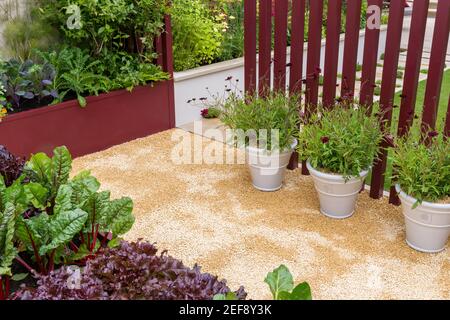 Kleine moderne Hochbeete in einem städtischen Gemüsebeet Garten, der Mangold-Salat mit Blumen in Töpfen, Behältern auf Kiesweg anbaut - Sommer - England Großbritannien Stockfoto