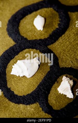 Blick auf die Muscheln auf einem Teppich Stockfoto