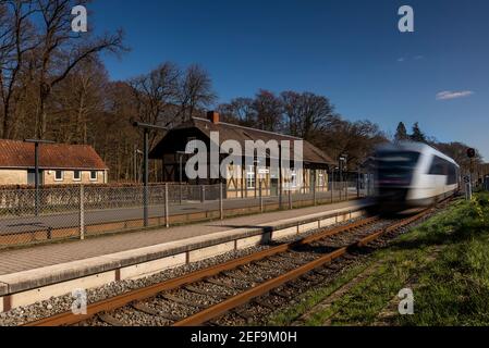 Ein Nahverkehrszug, der an einem alten Bahnhof in Odense vorbeifährt Dänemark Stockfoto