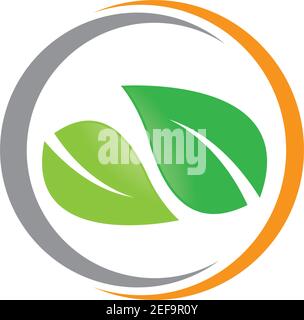 Die Logos der grünen Blatt ökologie Natur element Vektor icon Stock Vektor