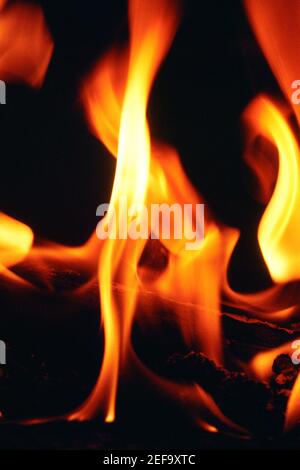 Nahaufnahme eines Holzfeuers Stockfoto