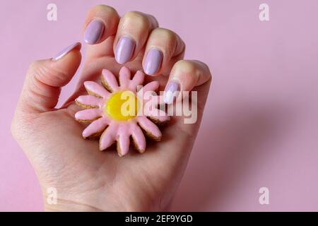 Weibliche Hand mit lila Maniküre hält Cookies in der Form Einer Blume auf rosa Hintergrund Stockfoto