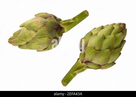 Nahaufnahme von zwei Artischocken Stockfoto