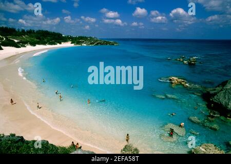 Luftaufnahme der Menschen am Horseshoe Bay Beach, Bermuda Stockfoto