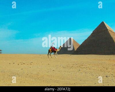 Seitenprofil eines Mannes auf einem Kamel vor Pyramiden, Pyramiden von Gizeh, Gizeh, Kairo, Ägypten Stockfoto