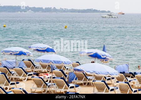 Liegestühle und Sonnenschirme am Strand, Plage De La Croisette, Cote dÅ½Azur, Cannes, Provence Alpes Cote DÅ½Azur, Frankreich Stockfoto