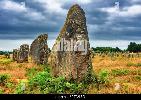 Carnac-Megalithen-Ausrichtung in der Bretagne, Frankreich, Blick auf prähistorische Monolith-Steinverteilungen in der Bretagne an regnerischen Sommertagen Stockfoto