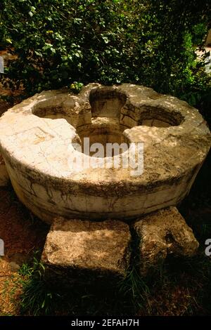 Hochwinkelansicht einer Skulptur im Garten einer Kirche, Kirche der Multiplikation, Galiläa, Israel Stockfoto