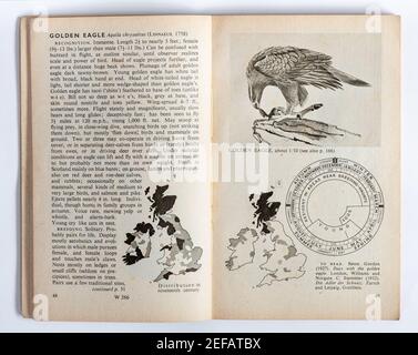 1951 Vintage James Fisher Vogelbuch im Taschenbuch namens Bird Recognition 2: Birds of Prey and Water-Fowl (Pelican Books) Stockfoto