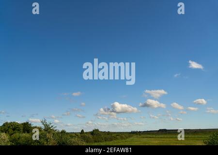 Grüne Wiese und blauer Himmel mit weißen Wolken im Sommer In Mecklenburg-Vorpommern Stockfoto