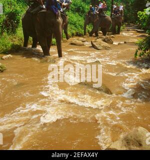 Tourist sitzend auf Elefanten, Maesa Elephant Camp, Chiang Mai, Thailand Stockfoto