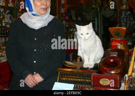 Frau mittleren Erwachsenen, die in einem Geschäft mit einer Katze neben ihr sitzt, XiÅ½an, Provinz Shaanxi, China Stockfoto