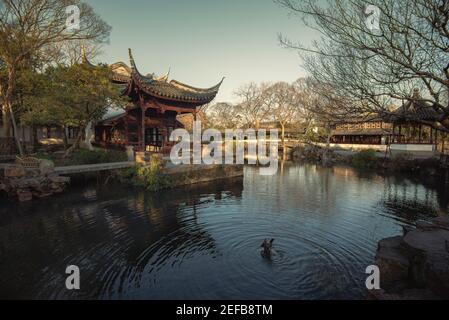 Der Garten im bescheidenen Administratorgarten (Zhuozheng Garten) Am frühen Morgen.Zhuozheng Garten ein klassischer Garten, in UNESCO-Weltkulturerbe Standort und IS Stockfoto