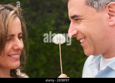 Nahaufnahme eines mittelerwachsenen Paares mit Löwenzahn Zwischen ihnen Stockfoto