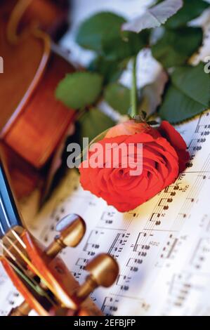 Rote Rose, Violine und Noten, Nahaufnahme Stockfoto