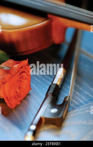 Rote Rose, Violine, Geigenbogen und Noten, Nahaufnahme Stockfoto