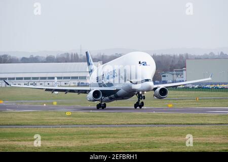 Saltney Ferry, Großbritannien. Februar 2021, 17th. Beluga XL2 hebt vom Flugplatz Hawarden ab, während Airbus das zweite Jubiläum der Premiere von BelugaXLÕs in Großbritannien feiert. BelugaXLÕs landete erstmals in Großbritannien am 14th. Februar 2019. In Saltney Ferry, Großbritannien am 2/17/2021. (Foto von Richard Long/News Images/Sipa USA) Quelle: SIPA USA/Alamy Live News Stockfoto