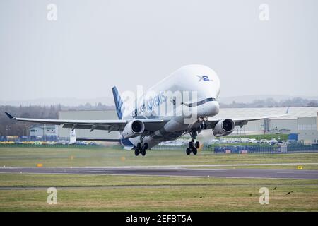 Saltney Ferry, Großbritannien. Februar 2021, 17th. Beluga XL2 hebt vom Flugplatz Hawarden ab, während Airbus das zweite Jubiläum der Premiere von BelugaXLÕs in Großbritannien feiert. BelugaXLÕs landete erstmals in Großbritannien am 14th. Februar 2019. In Saltney Ferry, Großbritannien am 2/17/2021. (Foto von Richard Long/News Images/Sipa USA) Quelle: SIPA USA/Alamy Live News Stockfoto