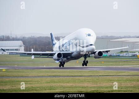 Saltney Ferry, Großbritannien. Februar 2021, 17th. Beluga XL2 hebt vom Flugplatz Hawarden ab, während Airbus das zweite Jubiläum der Premiere von BelugaXLÕs in Großbritannien feiert. BelugaXLÕs landete erstmals in Großbritannien am 14th. Februar 2019. In Saltney Ferry, Großbritannien am 2/17/2021. (Foto von Richard Long/News Images/Sipa USA) Quelle: SIPA USA/Alamy Live News Stockfoto