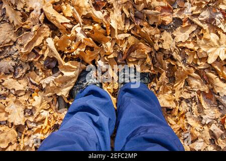 Füße in blauer Jogginghose und schwarze Sneakers stehen in der Herbstlaub Stockfoto