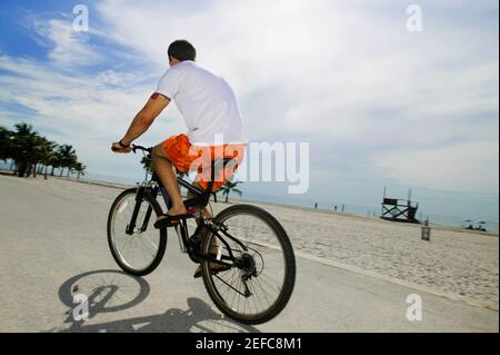 Rückansicht eines jungen Mannes beim Radfahren Stockfoto