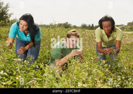 Junger Mann und zwei junge Frauen pflücken Blumen in einem Ein Stockfoto