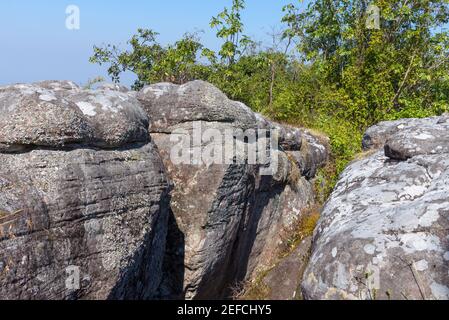 Cracked Stein Tal durch Wasser und Wetter Erosion zwischen dem Naturpfad zum Aussichtspunkt, Reise im Thai Nationalpark. Stockfoto