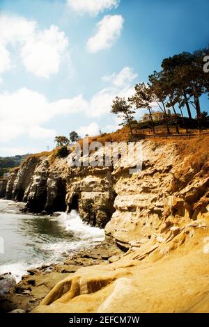 Panoramablick auf eine Klippe an den La Jolla Riffen, La Jolla, San Diego, Kalifornien, USA Stockfoto