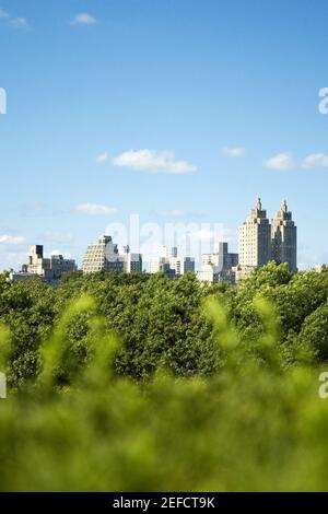 Wolkenkratzer hinter Bäumen, New York City, New York State, USA