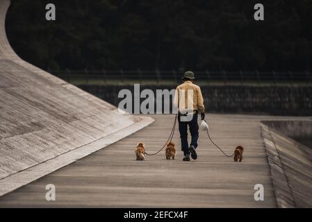 Alter Mann, der drei Hunde in der Küste aufgehängt hat Stockfoto