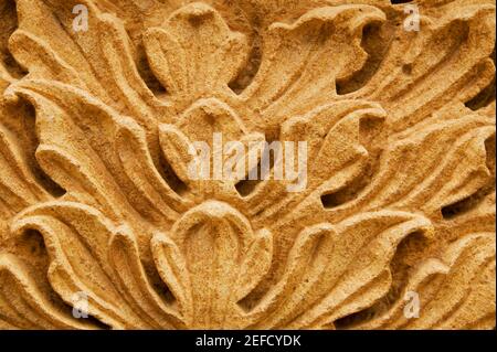 Carving an der Wand eines Palastes, Rajmahal, Jaisalmer, Rajasthan, Indien Stockfoto