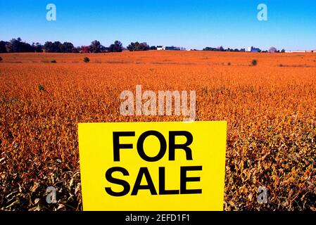 Zum Verkauf Zeichen auf Ackerland - Sojabohnenfeld & blauer Himmel im Hintergrund, Gaithersburg, MD Stockfoto