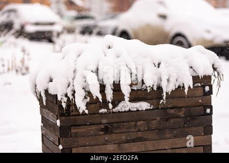 Holzwanne mit Pflanzen im Schnee. Eine Badewanne in der Stadt im Winter ist nicht nur praktisch, sondern auch schön. Stockfoto