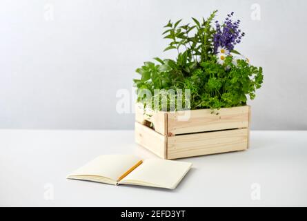 Notizbuch mit Kräutern und Blumen in Holzkiste Stockfoto