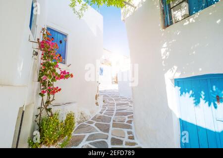 Straße mit schönen rosa Bougainvillea Blumen und weißen Hauswänden. Bunte griechische Straße in Lefkes, Insel Paros Stockfoto