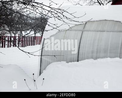 Im Wintergarten ist ein kleines Polycarbonat-Gewächshaus mit Schnee bedeckt. Stockfoto