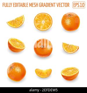 Set von reifen Orangen auf weißem Hintergrund. Stock Vektor